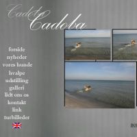 www.cadoba.dk